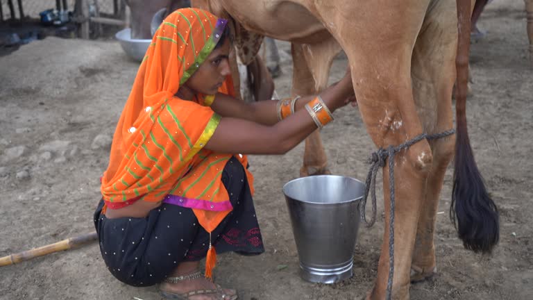 Sustainability & Rural Prosperity
