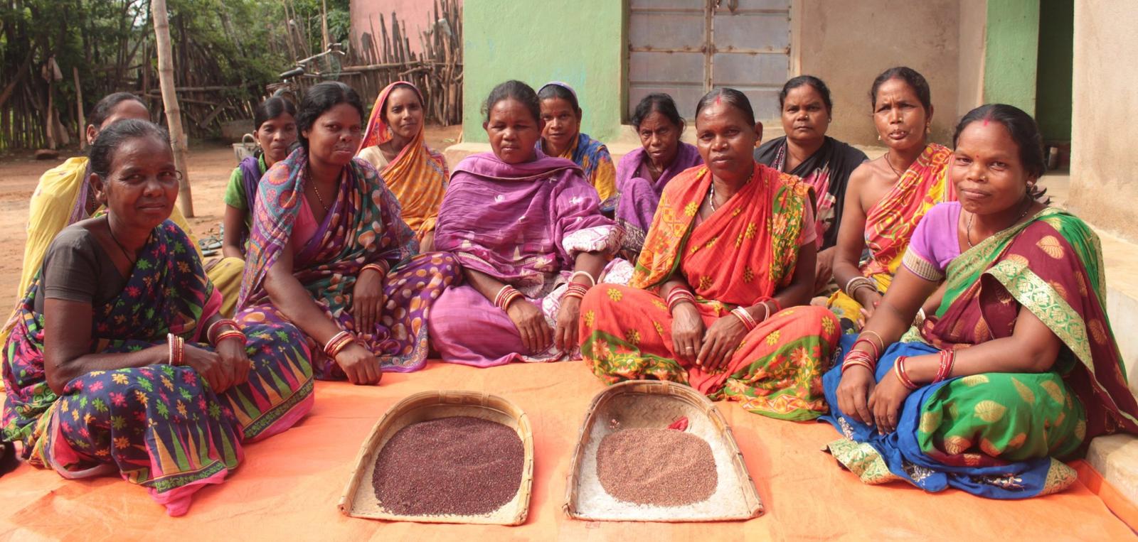 Women & Livelihoods